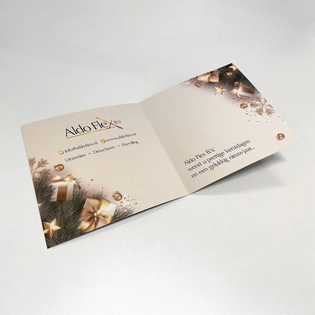 AldoFlex, foto 2