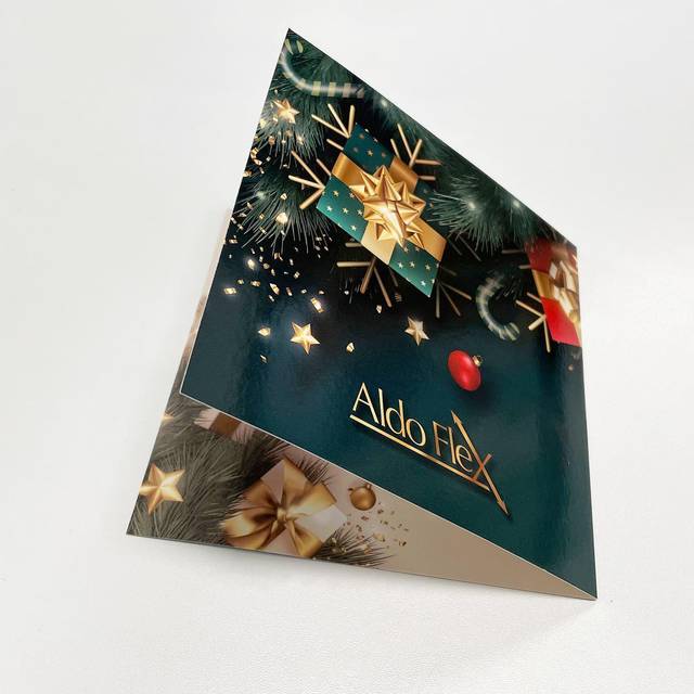 AldoFlex, foto 3