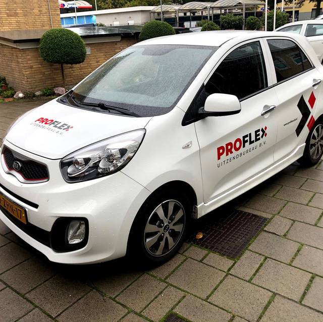 Proflex, foto 10