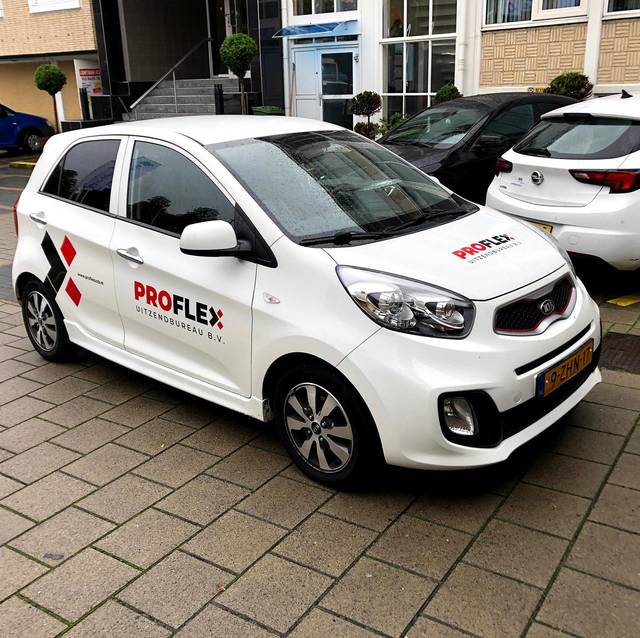 Proflex, foto 12