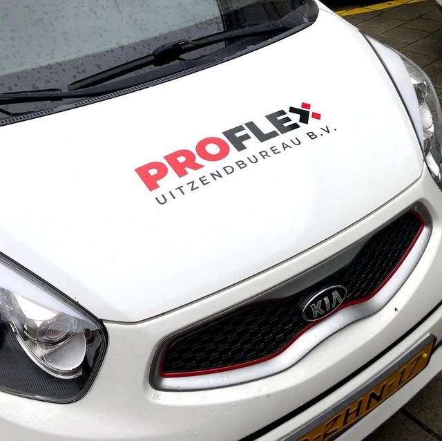 Proflex, foto 13